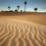 Gallery Thumbnail 7