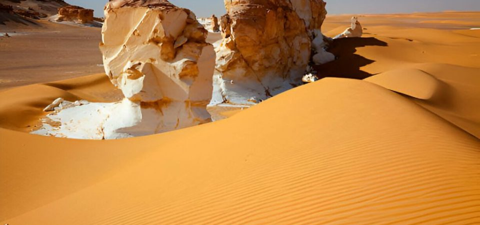 Bahariya Oasis Tour: Discover Egypt’s Western Desert